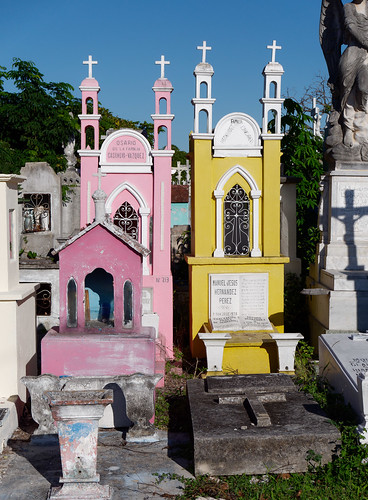 Pink and Yellow at the cemetery