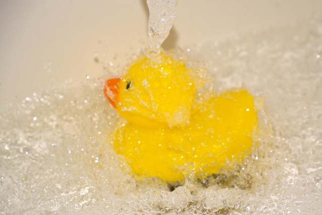 Rubber Ducky Splashing in  the Tub