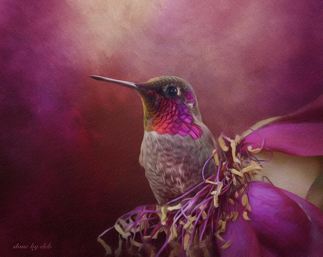 Neither the hummingbird nor the flower wonders how beautiful it is.