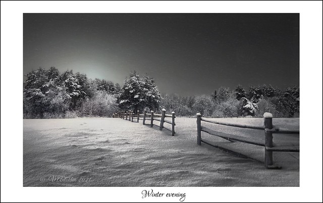 Winter evening.(iPhoneX)