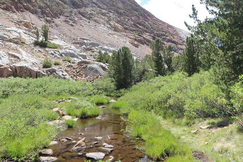 The Chocolate-Ruwau Loop Trail was tough to follow in the willows crossing the creek below middle Chocolate Lake