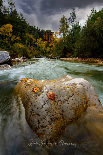 Autumn in the river