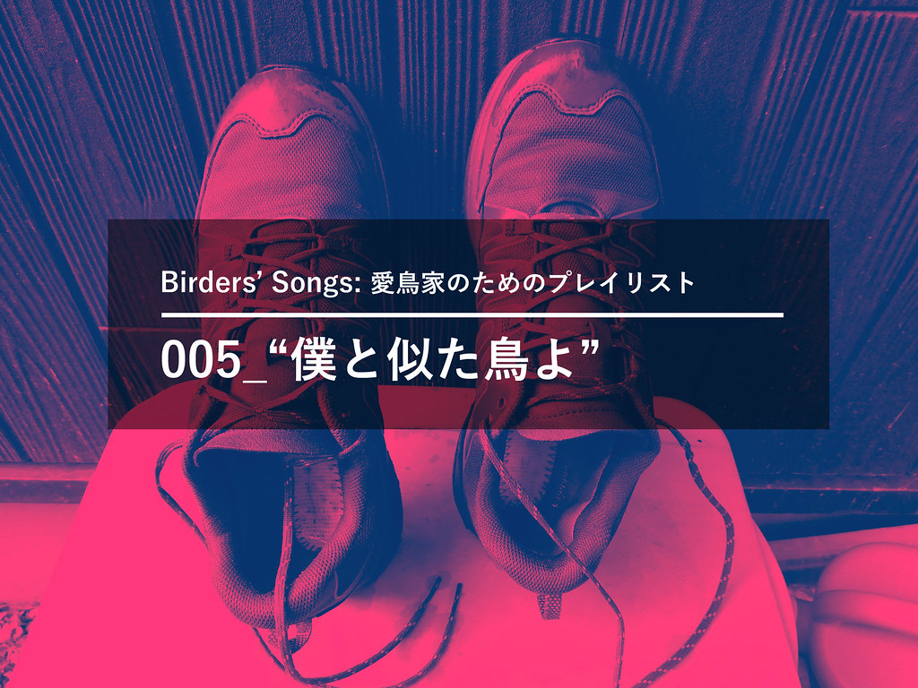 Birders-Songs-005