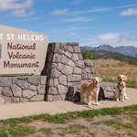 Lily Honey at sign for Mt St Helens NM in WA-01 9-15-21