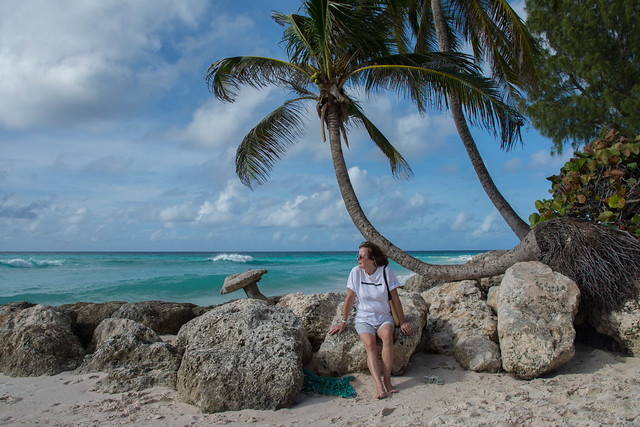 Sue, Beach with Palm Tree, Sandals Resort, Barbados