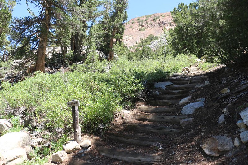 I hiked back to the Chocolate-Ruwau Loop Trail junction with the Bishop Pass Trail - it was time to climb those steps
