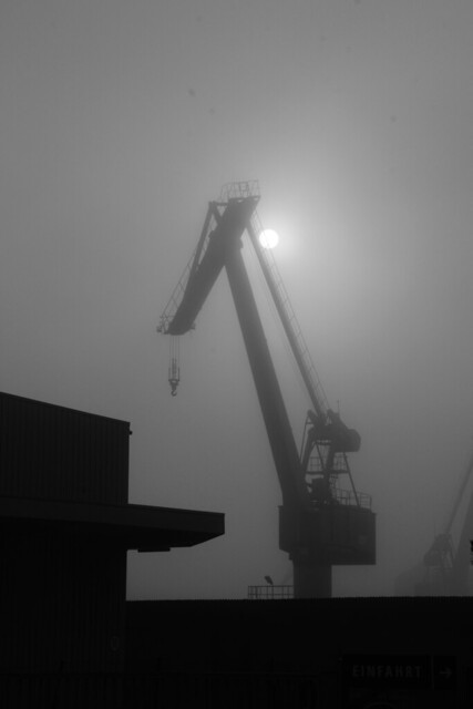 sun fog and a crane (bw) - explored