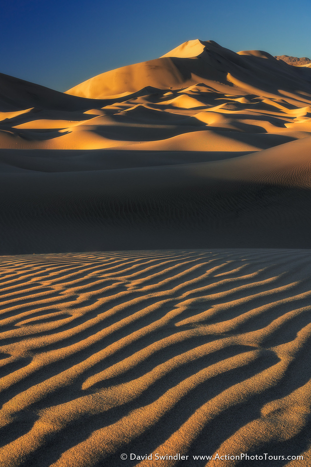 Desert | Flickr