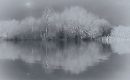 bw lake trees mist frost silence calm cool ybsopen21