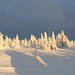 Solidní lyžařské podmínky na Pradědu 