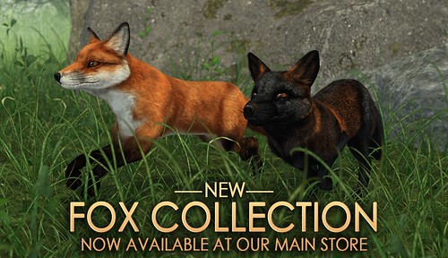 JIAN Fox Collection // Now Available In-store! | by [JIAN Pets]
