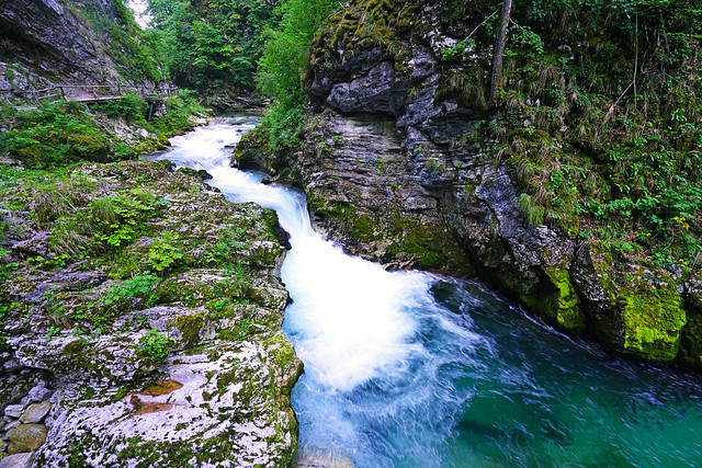 Fast water of Radovna River, Vintgar Gorge, Slovenia
