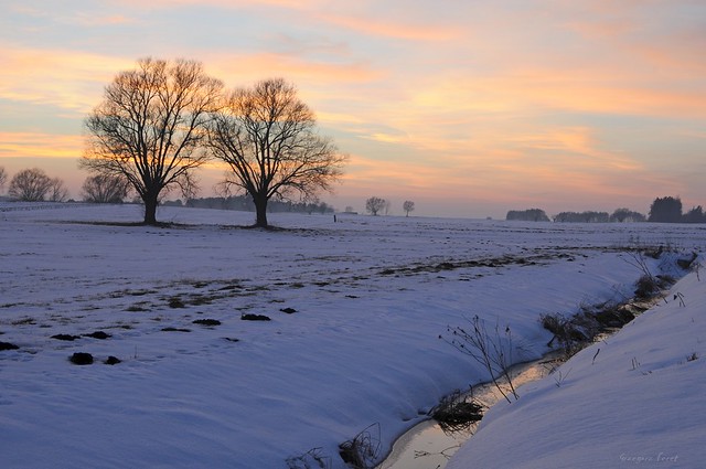 Last year's winter image / Obraz z zeszłorocznej zimy