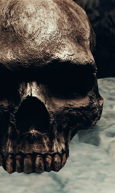 SC 2826-24 - Zareni - Destroyed Temple - Skull