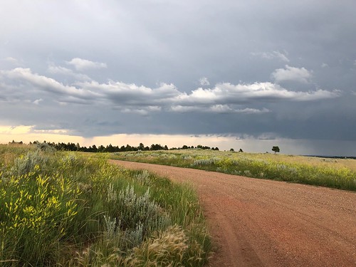 A scenery picture along a road with gathering storm clouds in the sky