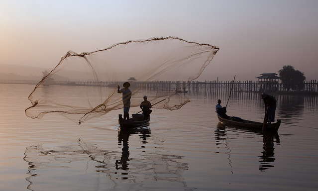 The first cast of the morning , Amarapura  , Myanmar .