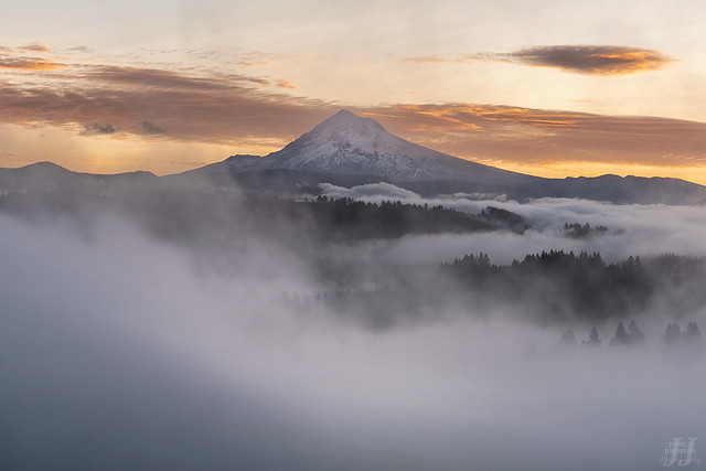 Mist and the Mountain