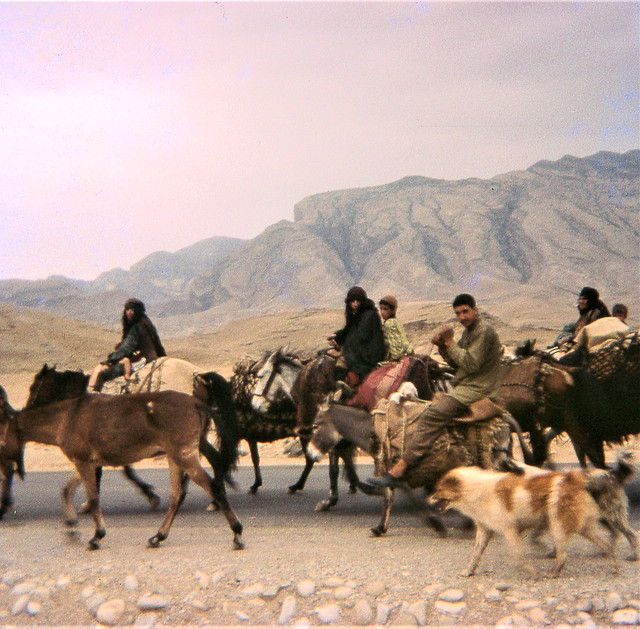Lur Tribe Migration, Iran, 1966