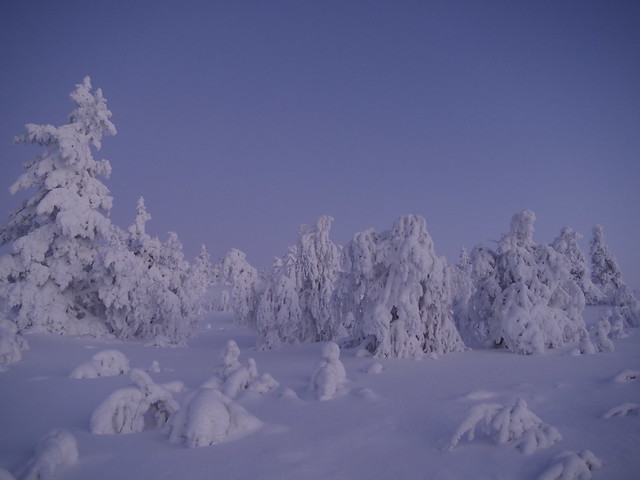 Levi, Sirkka, Finland