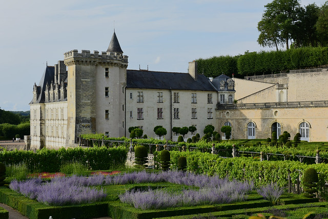Châteaux de Villandry, France,  August 2021 466