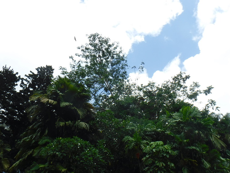 DSCF7516