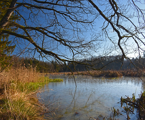 slovenia slovenija štajerska lake landscape outside outdoors pond december hiking rače račkiribniki