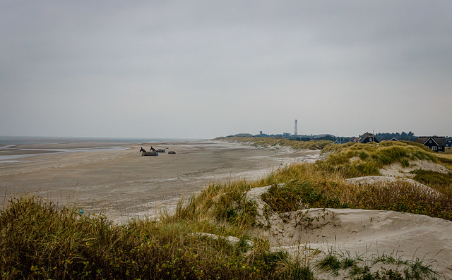 The beach at Blåvand with Bunker mules