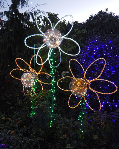 flowers made of metal wastepaper baskets and lights at theChristmas lights on the walk around Lafarge Lake in Coquitlam, Canada