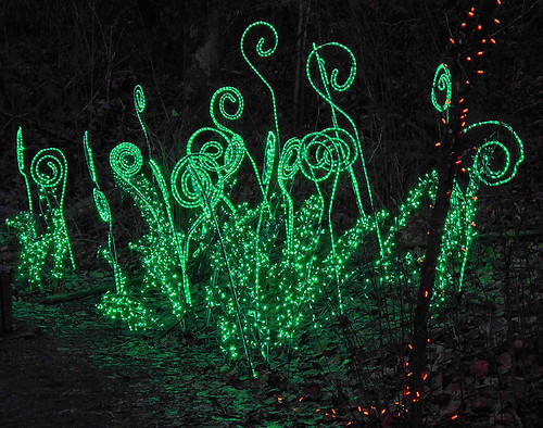Green swirls in the woods during the Christmas light display at Lafarge Lake in Coquitlam, Canada