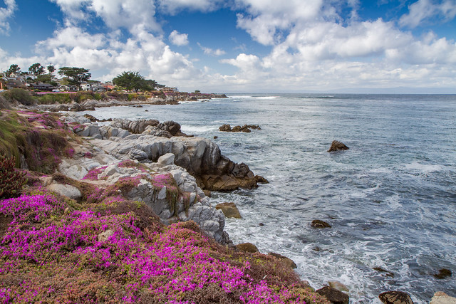 Armchair Traveling - A Spring Day on Monterey Bay