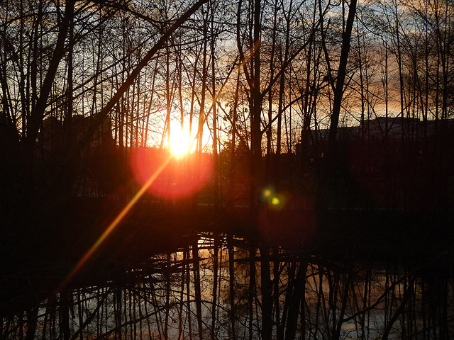 The sun setting over the beaver pond on the walk around Lafarge Lake in Coquitlam, Canada