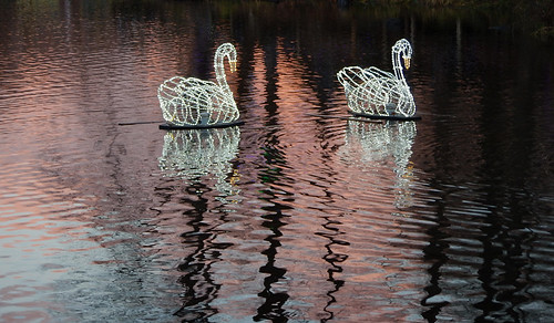 Lit-up swans are part of the Christmas lights on the walk around Lafarge Lake in Coquitlam, Canada