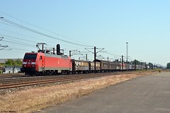 DB Cargo Scandinavia EG 3102 - Taastrup
