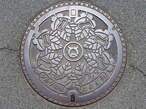 Toyotomi Yamanashi, manhole cover （山梨県豊富村のマンホール）