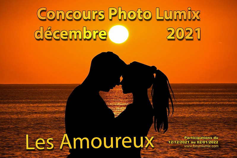 concours photo "LES AMOUREUX" décembre 2021 51741551509_3c1fd3227d_c