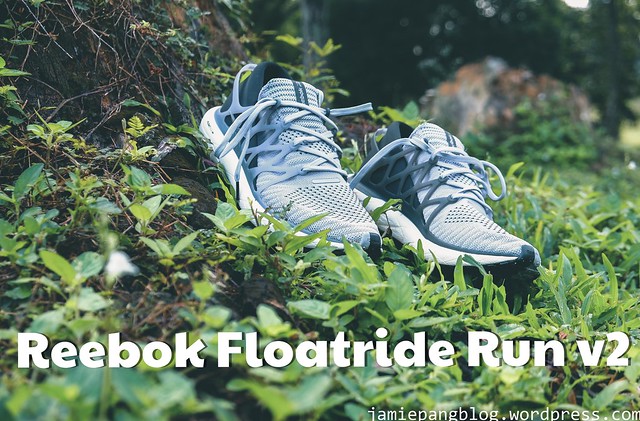 Styre Link triathlete Reebok Floatride Run 2 – 50km Review | jamiepang: Blog