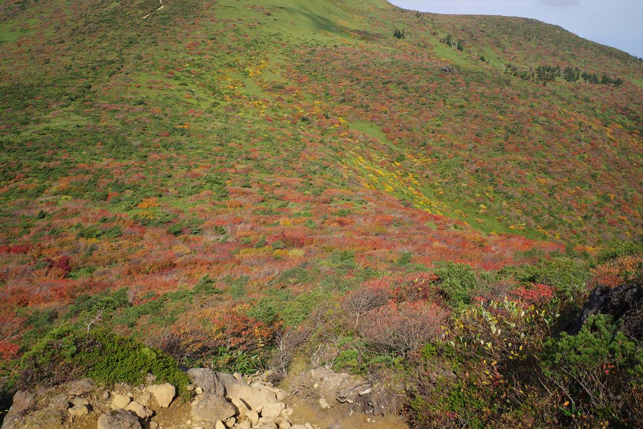 箕輪山の紅葉