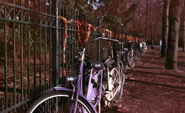 Fahrradreihe mit Girlande - I shot film