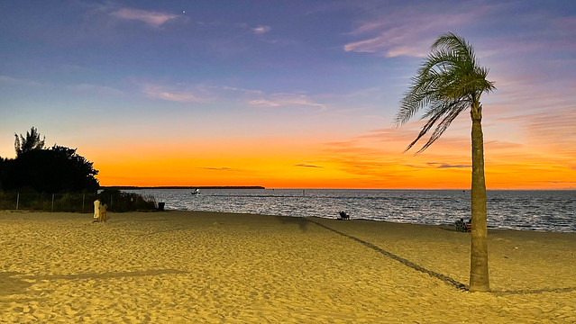 Bahia Beach blue hour with palm