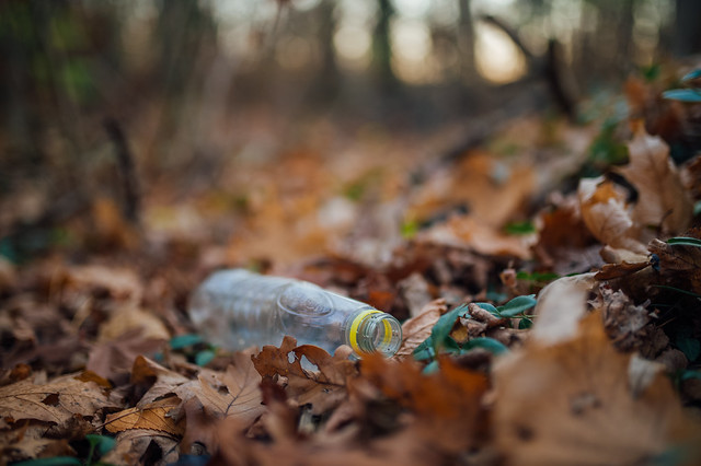 Plastic bottle thrown on the ground covered with dry leaves. People dumping trash in the forest