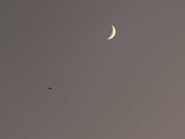 Jetliner and Crescent Moon_P1070067 (3)