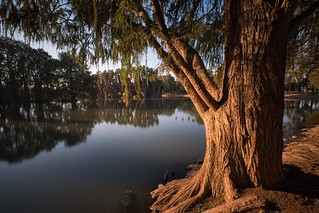 Lake Evans, Fairmount Park, Riverside CA