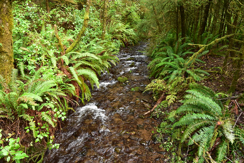 Gwynn Creek Trail