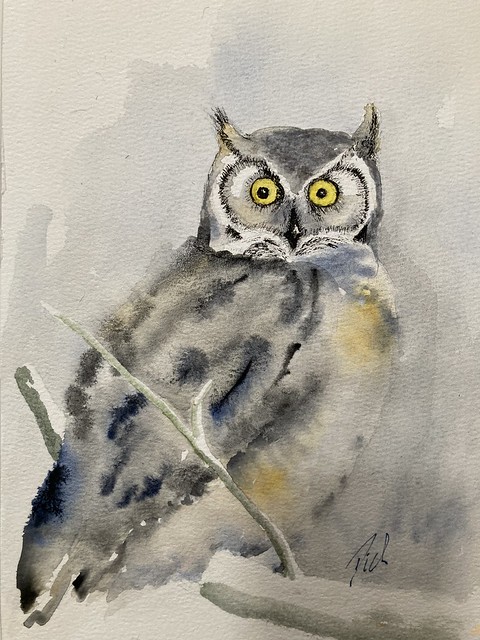 Broken Leg Sessions (Great Horned Owl) #acuarela #aquarelle #art #arte #artist #drawing #dibujo #fineart #painting #paint #pen #penandink #sketch #sketchbook #watercolor_involve #watercolorpainting
