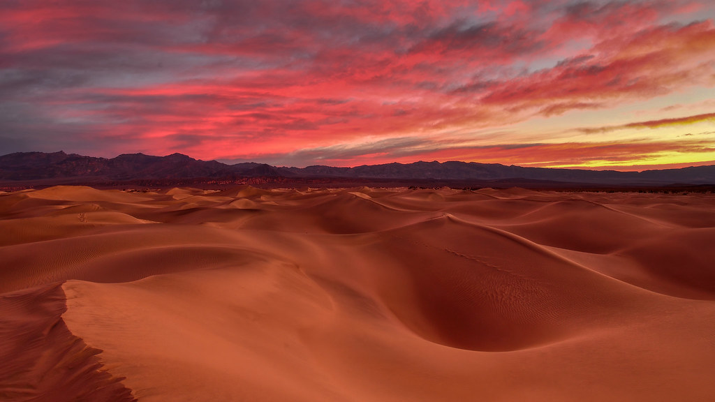 Death Valley Dunes at Dawn 013016 [Explored 15 December 2021]