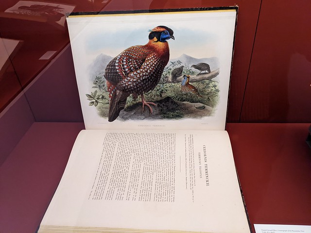 Large bird book, , Telyersmuseum, Haarlem, Netherlands