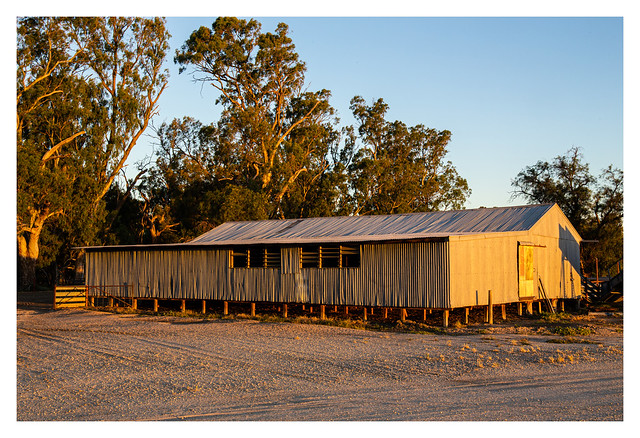 Old woolshed at sunset
