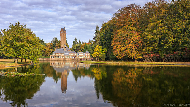 Reflections @ National park Hoge veluwe