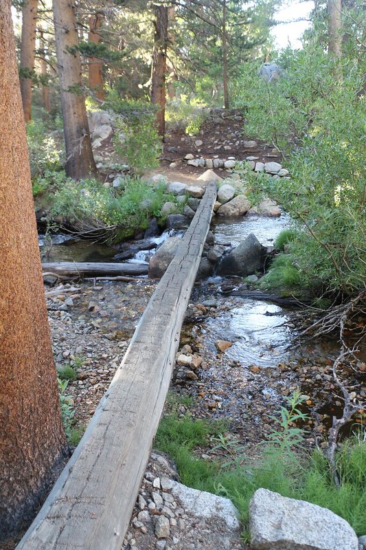 Log crossing on the North Fork Bishop Creek as I neared the trailhead after hiking through the forest