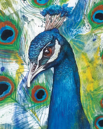 Watercolor Mixed Media Painting Peacock. From Artist Spotlight: Erica Bradshaw 